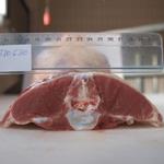 اولتراسونوگرافی در بررسی ترکیب بدن گوسفند